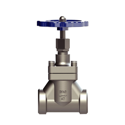 CRYOGENIC GLOBE VALVE DJ-G/GY