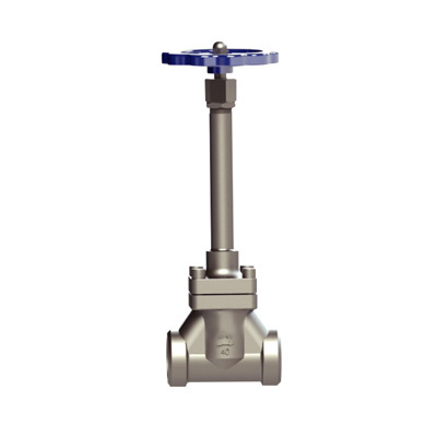 CRYOGENIC GLOBE VALVE(WITH CHECK VALVE) DJ-H